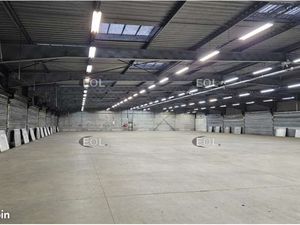 Local industriel 7 050 m²