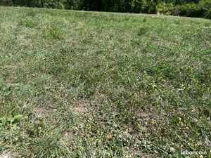 Terrain plat et viabilisé