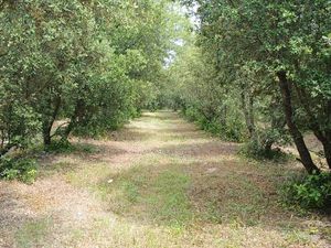 Terrains Viabilisés Libre de constructeurs