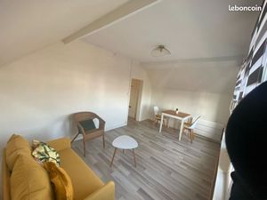 F2 meublé  lumineux  parking