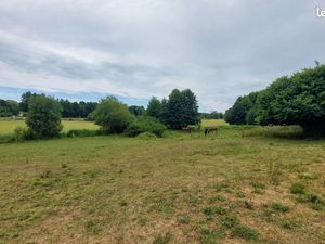 Terrain 10 500 m² Bazoches Sur Hoene