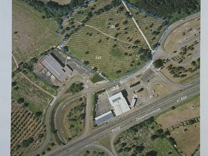 Terrain de 15000 m2 à vendre au coeur des LANDES. 40000