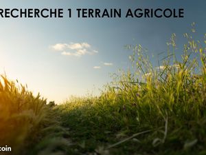 Recherche 1 terrain agricole