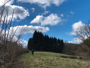 Terrain agricole 4 500 m² – proche centre Tinchebray-Bocage