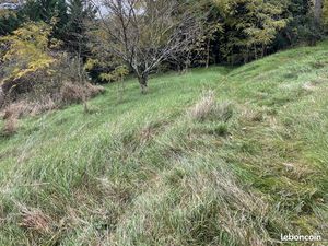 Terrain de 2000 m2 sur les hauteurs de beynost