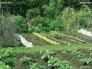 Jardin potager location
