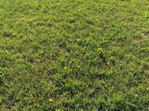 Terrain 800 m² Biganos