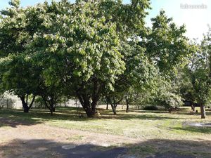 Terrain à bâtir à Lhommaizé