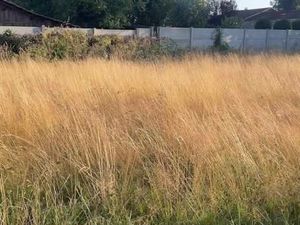 Terrain 1 100 m² Saint Maixant