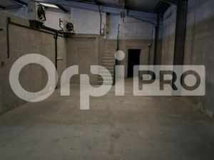 Local d'activité 878 m²