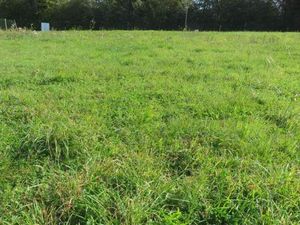 Terrain 664 m² MACHECOUL