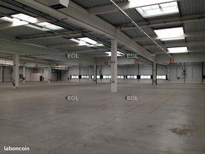 Local bureaux 4 662 m²