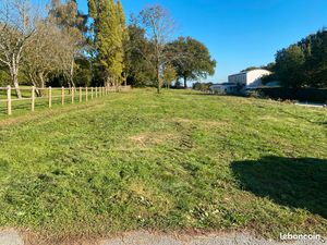 Terrain constructible