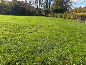 Terrain 1 190 m² La Brede