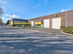 Local d'activité 323 m²