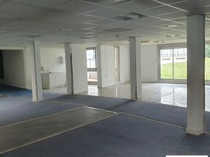 Local bureaux 1 563 m²