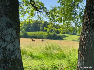 Recherche Grange/ stabulation terrain