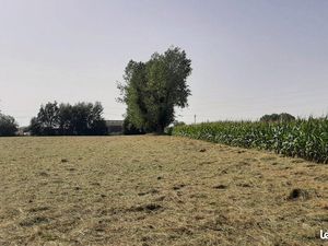 Terrain 583 m² Saint Jean Du Cardonnay