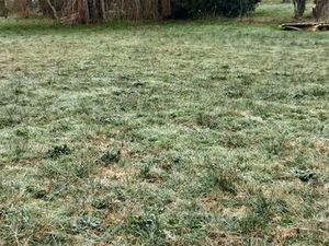 Grand terrain constructible