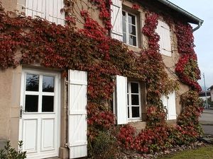 Belle maison sous vosgienne secteur Champagney