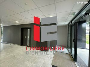 Bureaux 428 m²