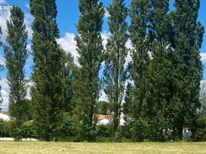 Terrain 499 m² Commequiers