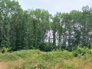 Terrain 2 450 m² Menesplet