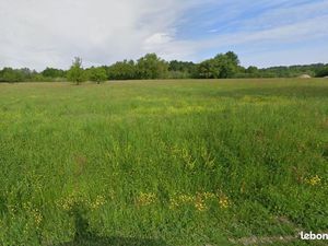 Terrain 1 200 m² Saint Martin De Gurson