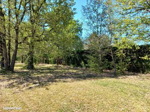 Terrain 2 774 m² Campsas