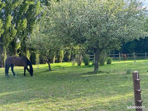 Terrain constructible