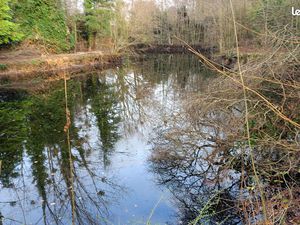 À VENDRE – Étang avec cabane sur terrain de loisir de 4 000 m² – La Roche-sur-Yon