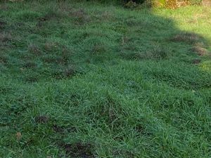 Terrain 335 m² La Teste De Buch