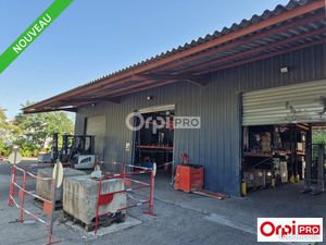 Local d'activité 503 m²