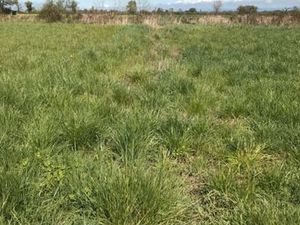 Recherche jardin ou terrain