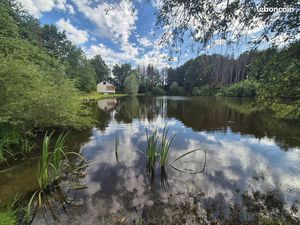 Terrain 15000 m² Schirrhein