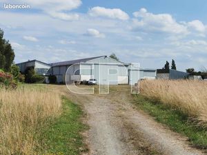 Local industriel 1 244 m²