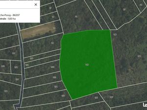 Taillis - parcelle AT 149 la roche posay