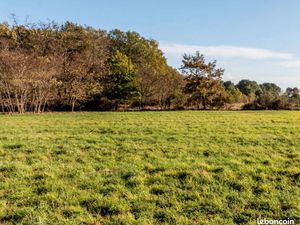 Terrain 3 690 m² Cocumont