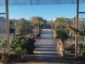 Terrain Huelva Andalousie