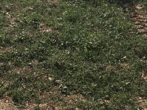 Terrain 658 m² Fontaines