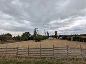 Location terrain pour pâture