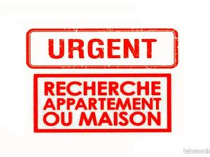 Recherche appartement logement