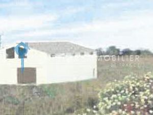 Local 280 m² Le Cailar