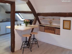 Studio meublé – Vue Loire & balcon  tout compris
