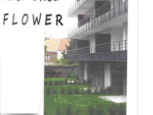 Superbe appartement t2