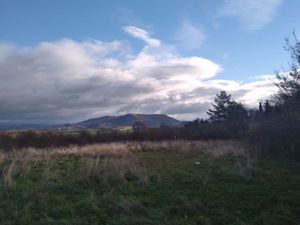 Location de terrain agricole