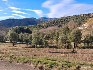 Terrain constructible