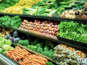 Local 100 m² SALAVAS