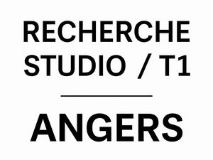Personne seule  calme cherche studio ou T1 à Angers