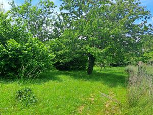 Vend grand terrain constructible